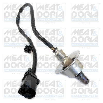 Oxygen Sensor